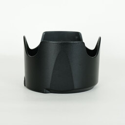 Nikon AF-S NIKKOR 70-200mm f/2.8E FL ED VR