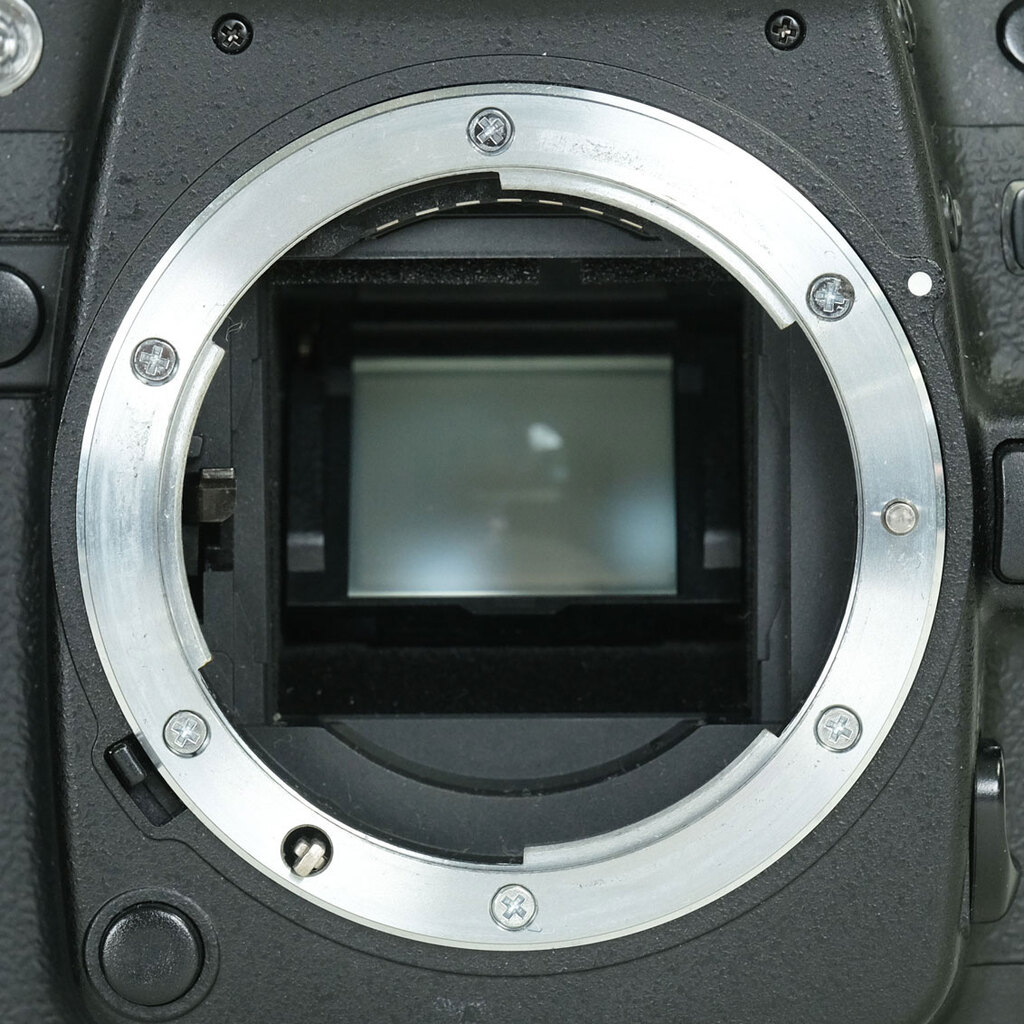Nikon D80 ボディ