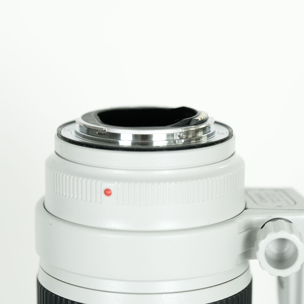 Canon EF70-200mm F2.8L IS III USM