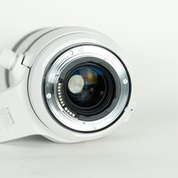 Canon RF100-500mm F4.5-7.1L IS USM