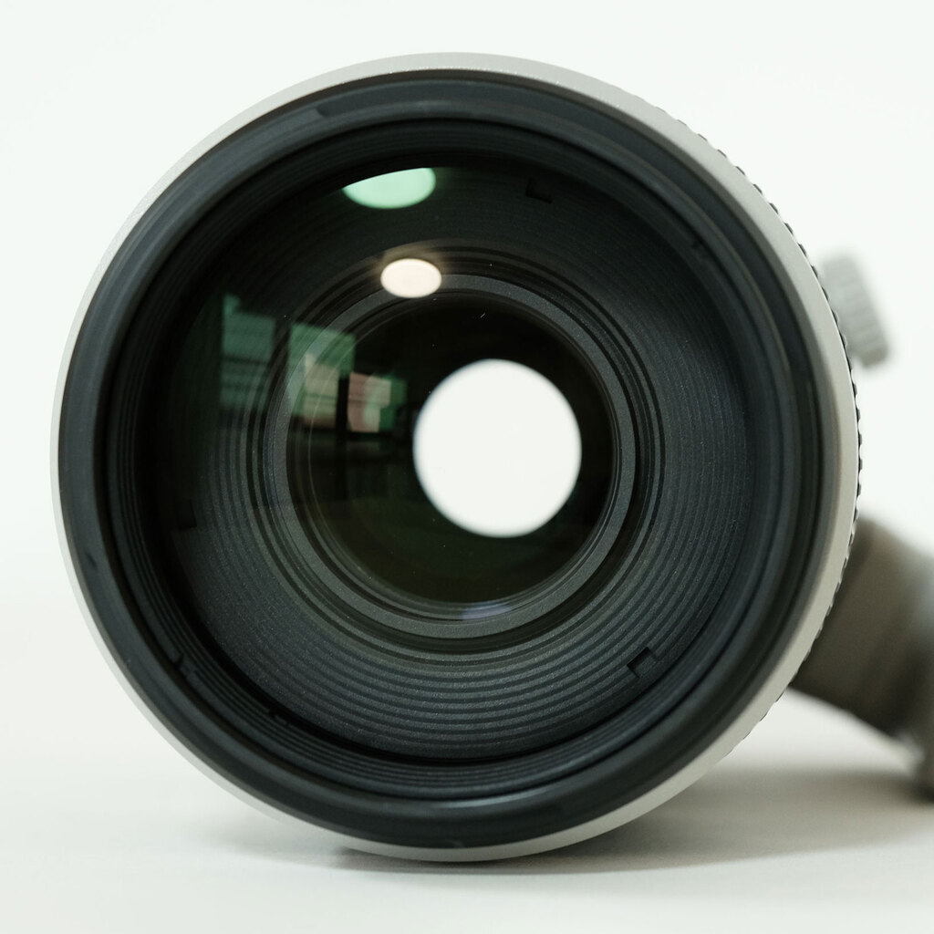 Canon EF100-400mm F4.5-5.6L IS II USM