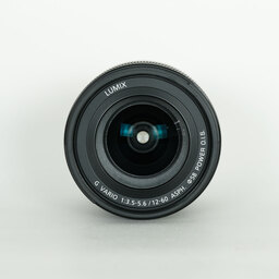 Panasonic LUMIX G VARIO 12-60mm / F3.5-5.6 ASPH. / POWER O.I.S.