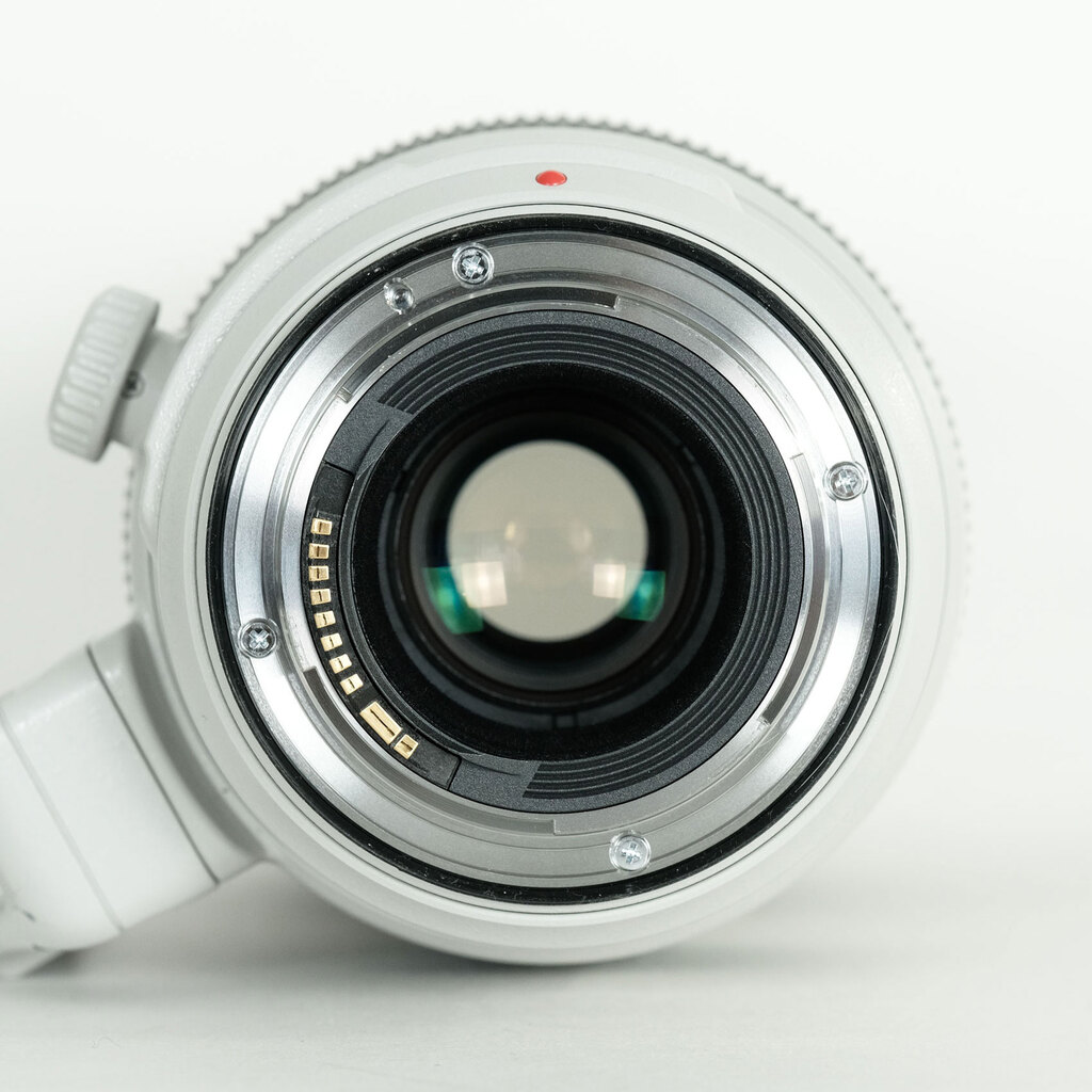 Canon EF100-400mm F4.5-5.6L IS II USM