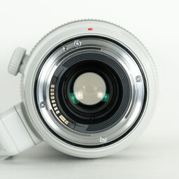 Canon EF100-400mm F4.5-5.6L IS II USM