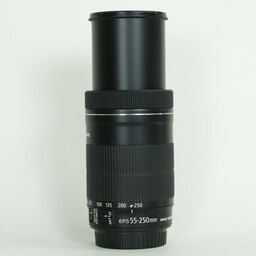 Canon EF-S55-250mm F4-5.6 IS STM
