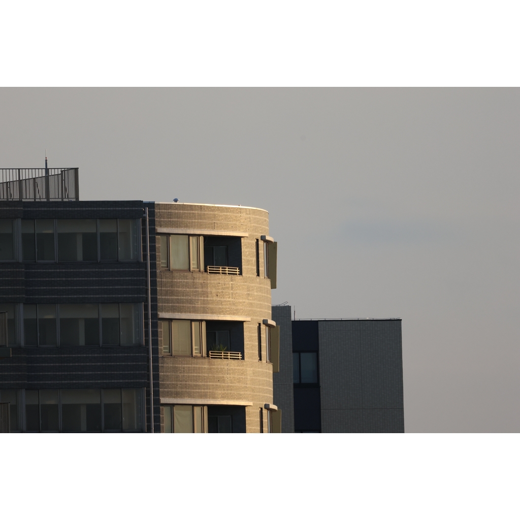 Canon RF800mm F11 IS STM