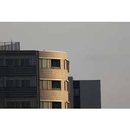 Canon RF800mm F11 IS STM