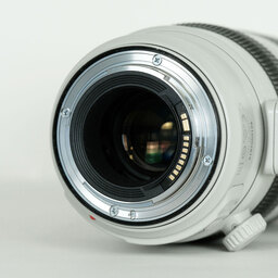 Canon EF100-400mm F4.5-5.6L IS II USM