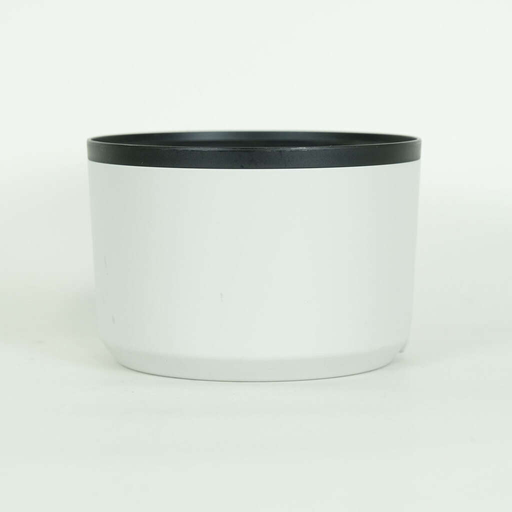 Canon RF100-500mm F4.5-7.1L IS USM