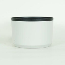 Canon RF100-500mm F4.5-7.1L IS USM