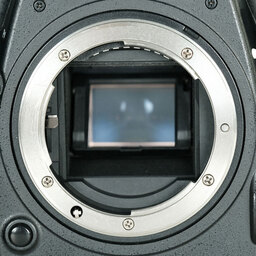 Nikon D500