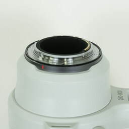 Canon RF200-800mm F6.3-9 IS USM Canon RF200-800mm F6.3-9 IS USM