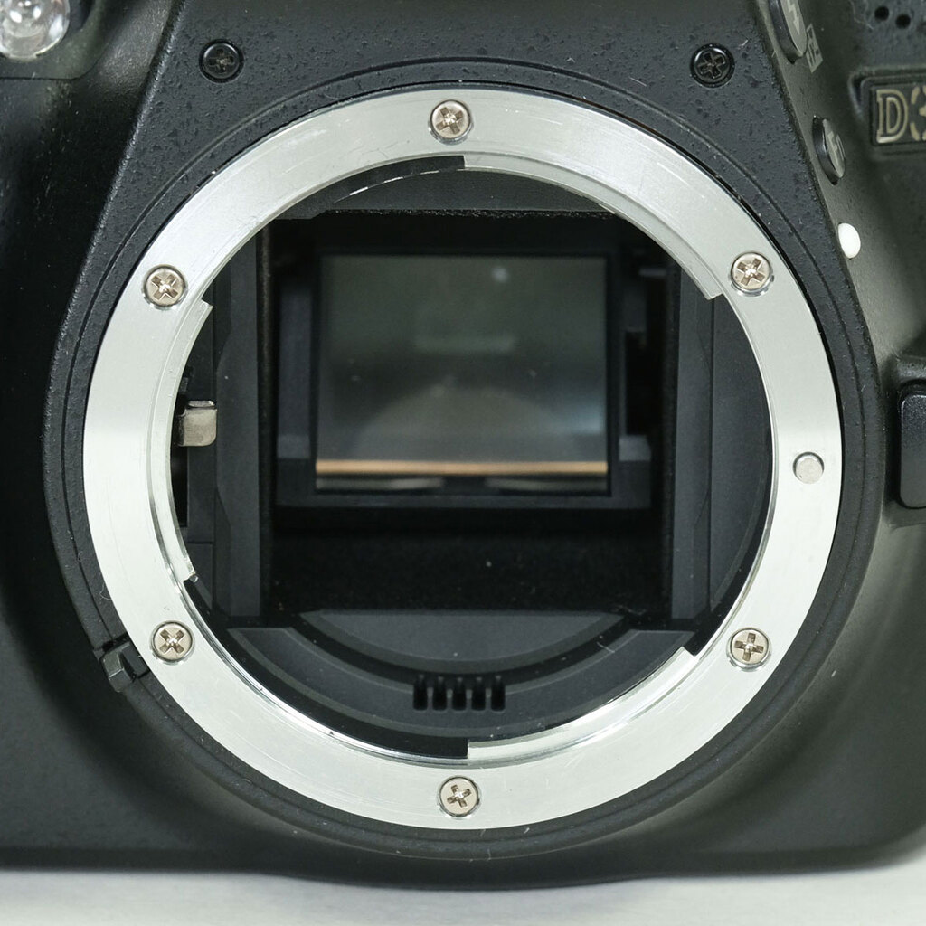 Nikon D3300