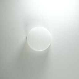 Nikon AF-S DX VR Zoom-Nikkor 18-200mm F3.5-5.6G IF-ED