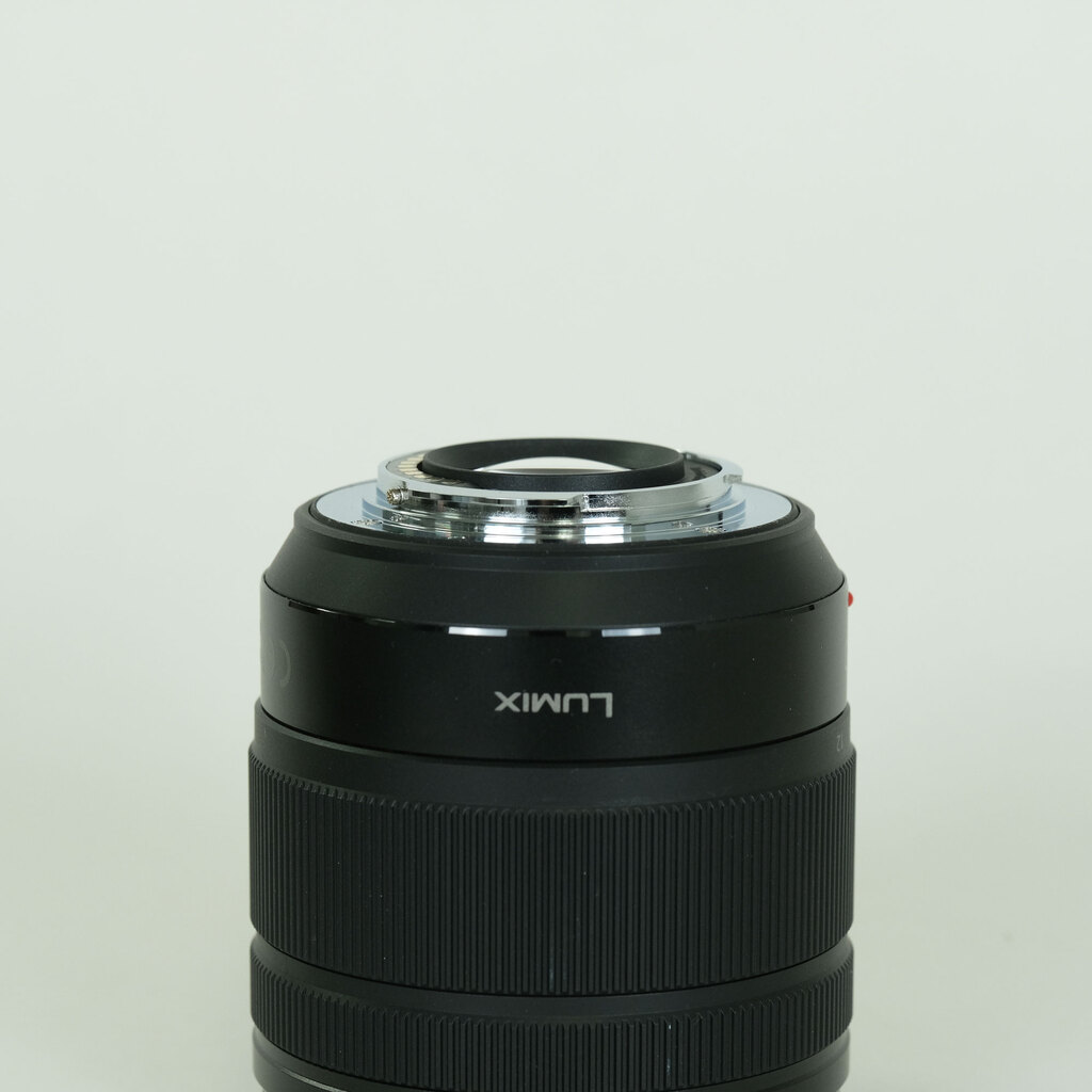 Panasonic LUMIX G VARIO 12-60mm / F3.5-5.6 ASPH. / POWER O.I.S.