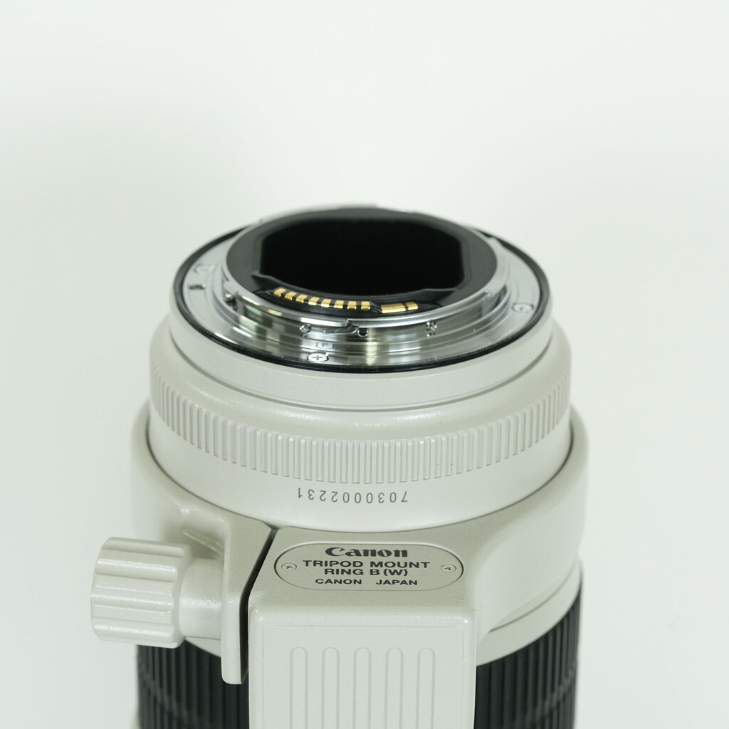 Canon EF70-200mm F2.8L IS II USM
