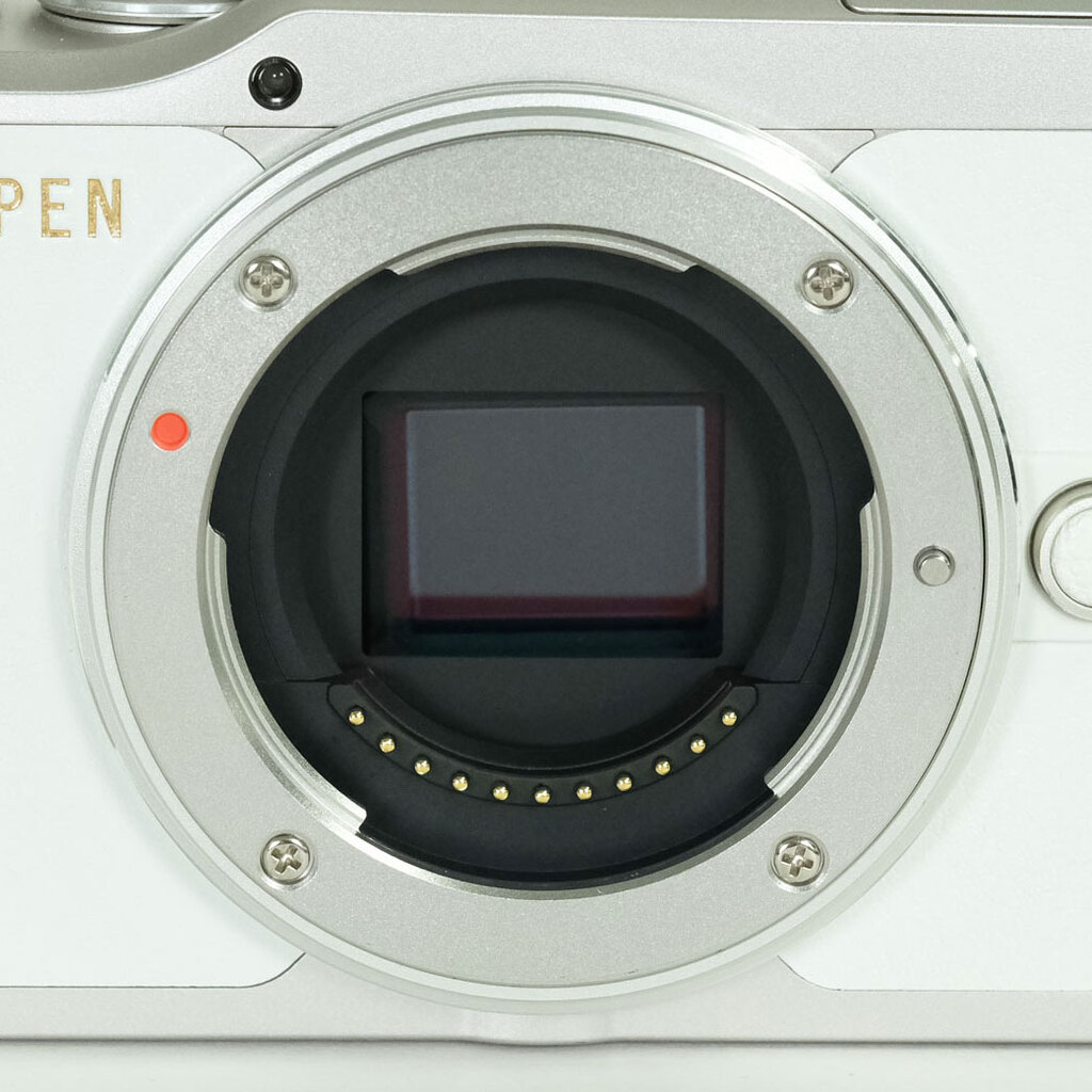OLYMPUS PEN E-PL10