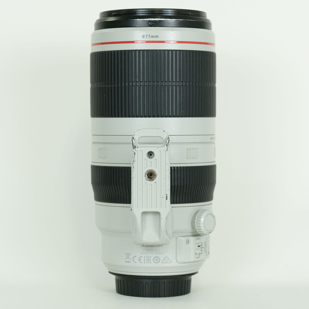 Canon EF100-400mm F4.5-5.6L IS II USM
