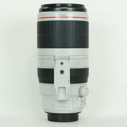 Canon EF100-400mm F4.5-5.6L IS II USM