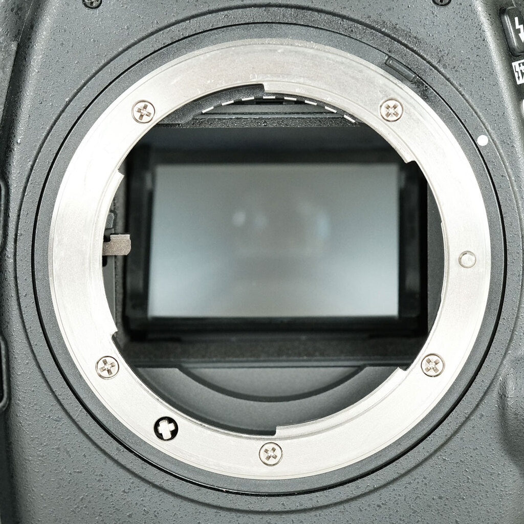 Nikon D800