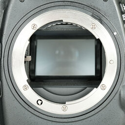 Nikon D800
