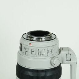 Canon EF100-400mm F4.5-5.6L IS II USM