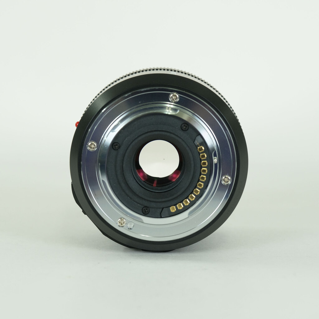 Panasonic LEICA DG MACRO-ELMARIT 45mm F2.8 ASPH. MEGA O.I.S.
