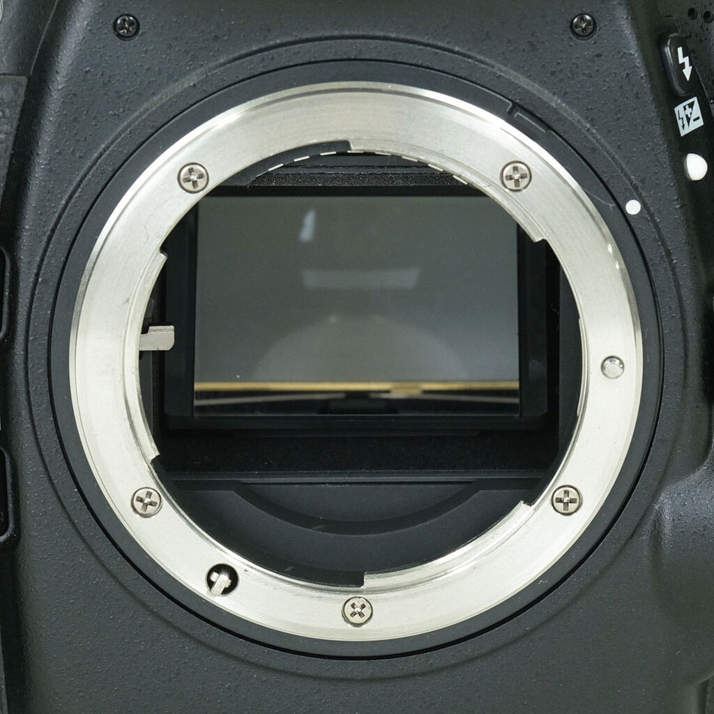 Nikon D800