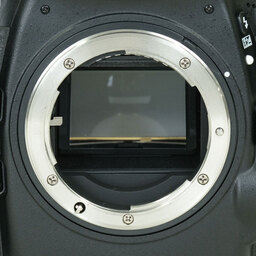 Nikon D800