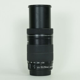 Canon EF-S55-250mm F4-5.6 IS STM