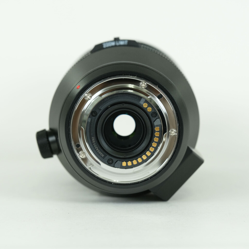 Panasonic LEICA DG VARIO-ELMAR 100-400mm / F4.0-6.3 II ASPH. / POWER O.I.S.