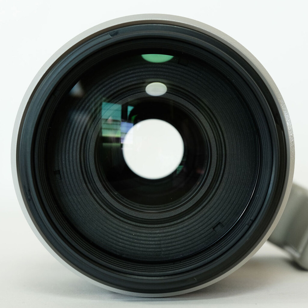 Canon EF100-400mm F4.5-5.6L IS II USM