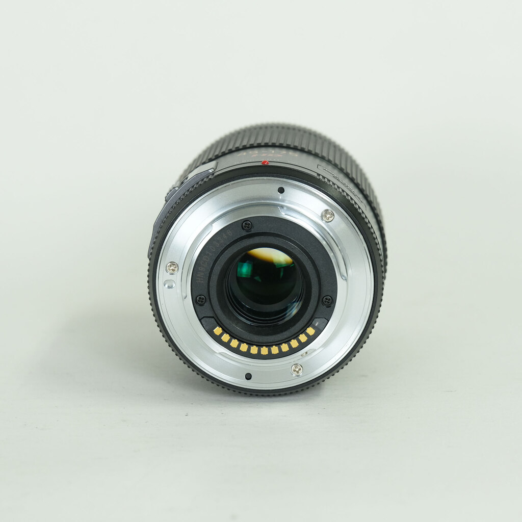 Panasonic LUMIX G X VARIO PZ 45-175mm / F4.0-5.6 ASPH. / POWER O.I.S.