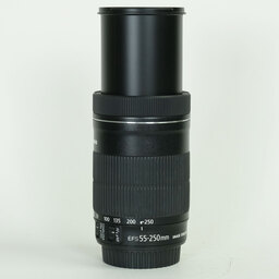 Canon EF-S55-250mm F4-5.6 IS STM
