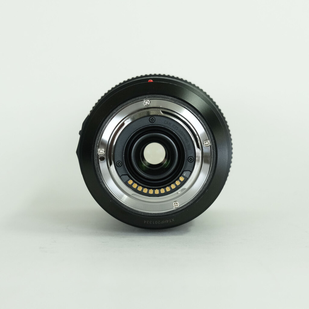 Panasonic LUMIX G VARIO 100-300mm / F4.0-5.6 II / POWER O.I.S. Panasonic LUMIX G VARIO 100-300mm / F4.0-5.6 II / POWER O.I.S.