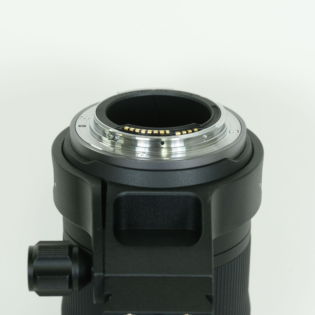 Canon RF100-400mm F5.6-8 IS USM Canon RF100-400mm F5.6-8 IS USM