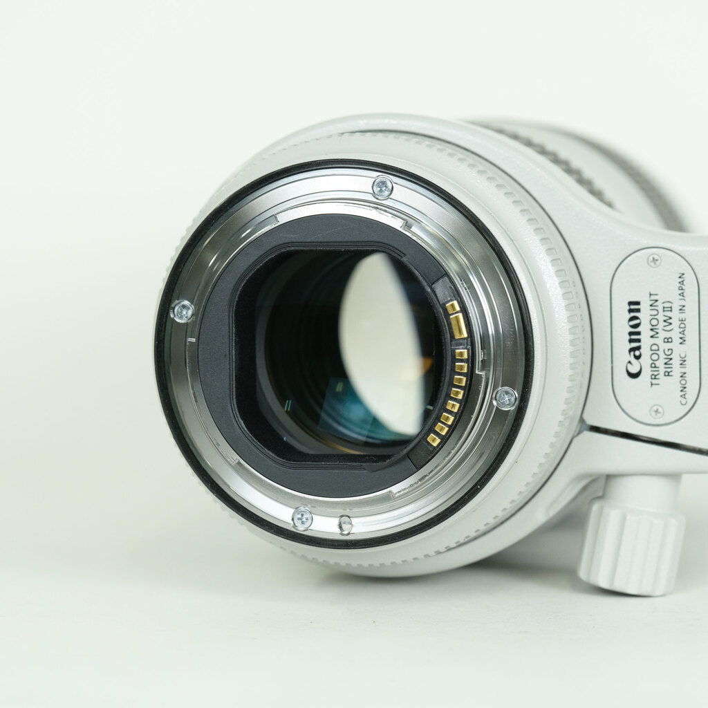 Canon EF70-200mm F2.8L IS III USM