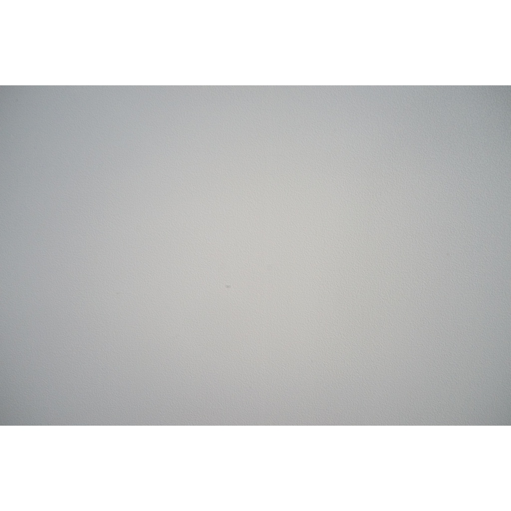 SONY Cyber-shot  DSC-RX1