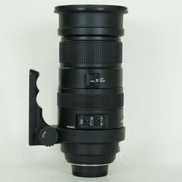 SIGMA APO 50-500mm F4.5-6.3 DG OS HSM [ニコンF用]