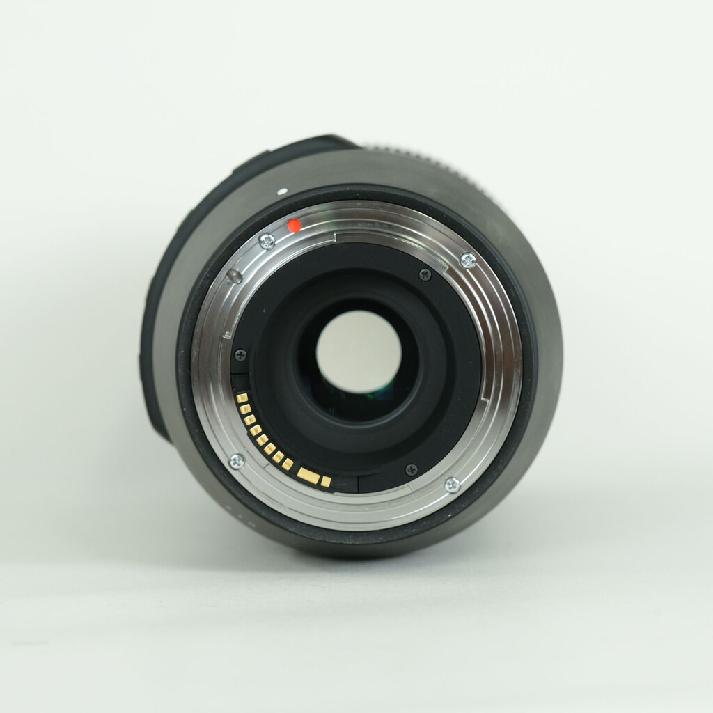 SIGMA 100-400mm F5-6.3 DG OS HSM｜Contemporary [キヤノンEF用]