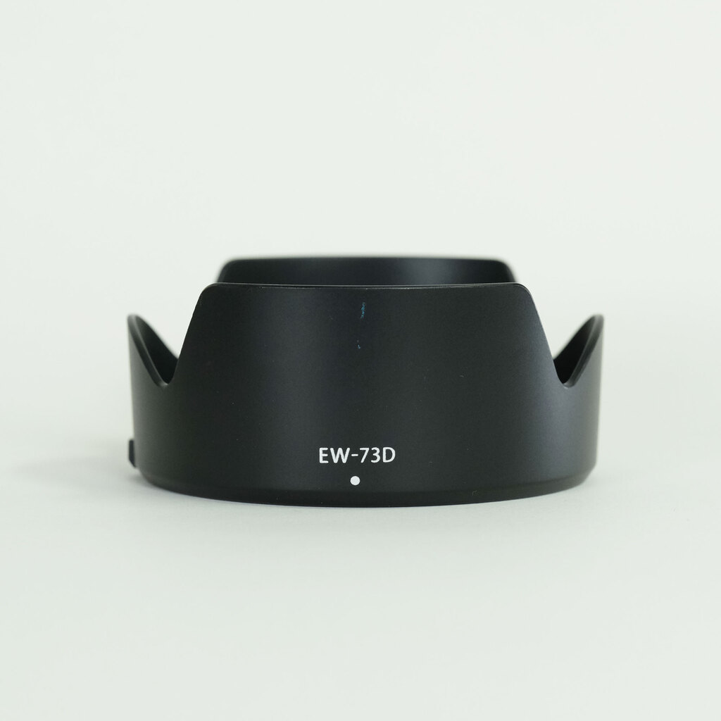 Canon RF24-105mm F4-7.1 IS STM