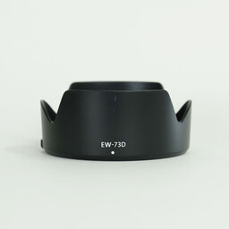 Canon RF24-105mm F4-7.1 IS STM