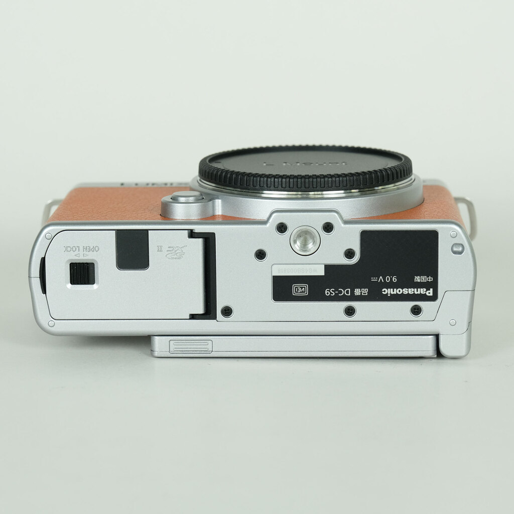 Panasonic LUMIX DC-S9
