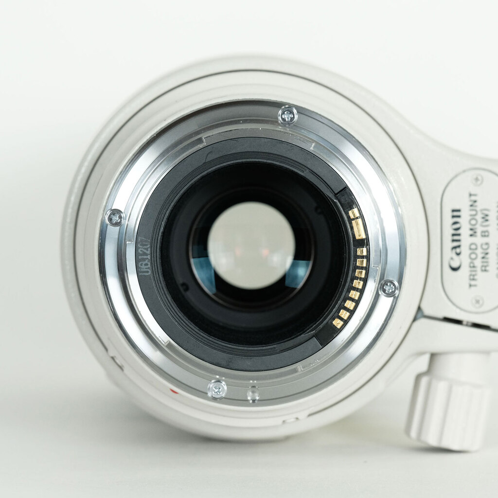 Canon EF100-400mm F4.5-5.6L IS USM