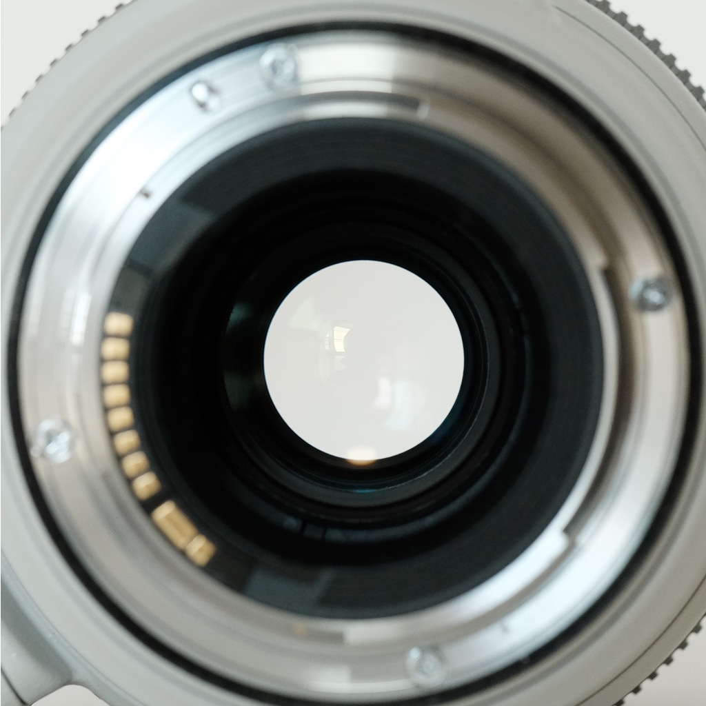 Canon EF100-400mm F4.5-5.6L IS II USM