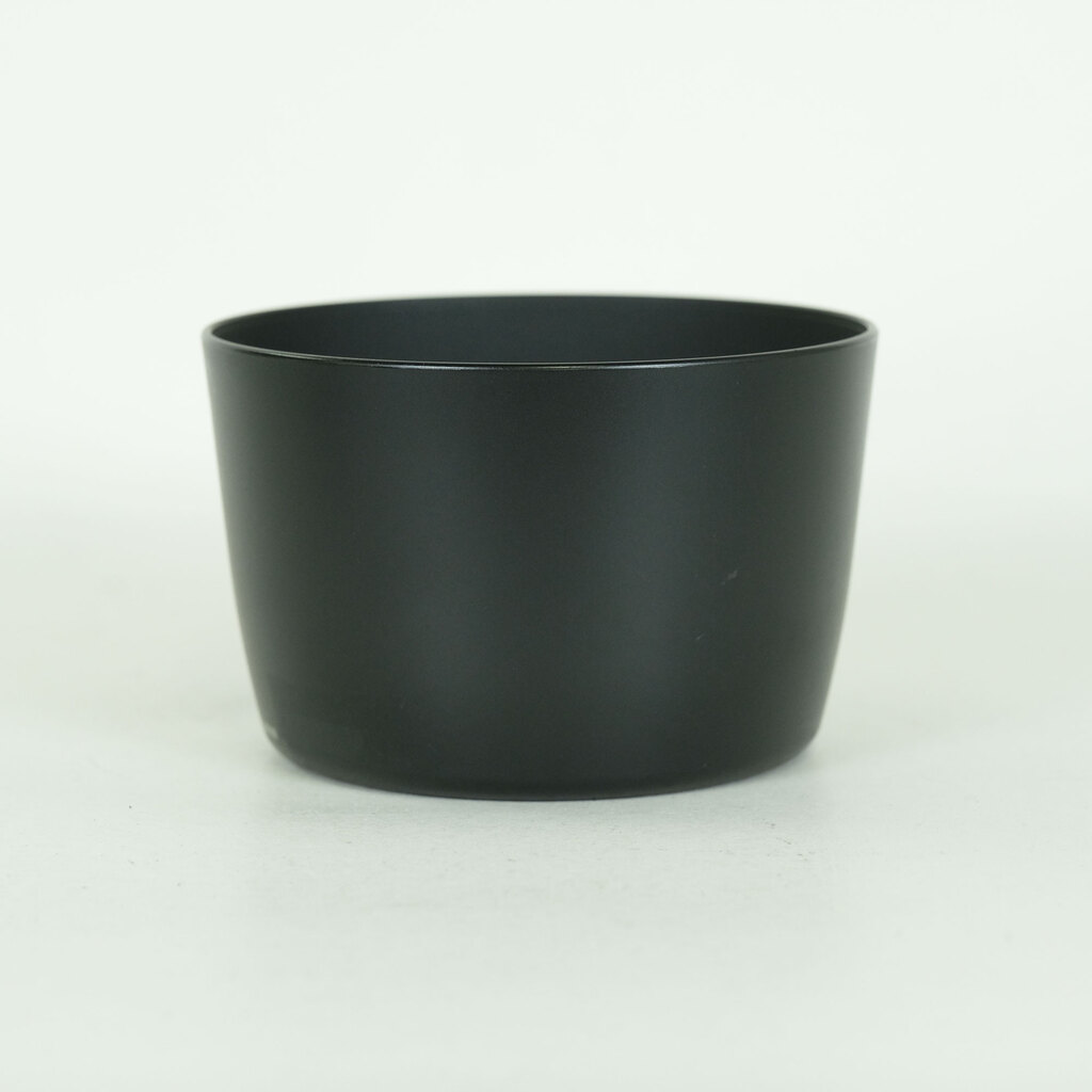 Canon EF-S55-250mm F4-5.6 IS