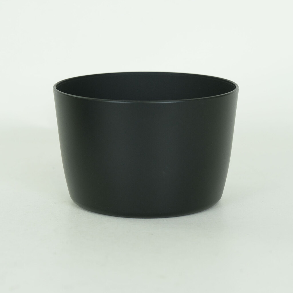 Canon EF-S55-250mm F4-5.6 IS II