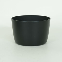 Canon EF-S55-250mm F4-5.6 IS II