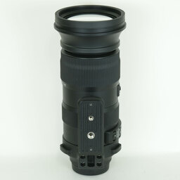 SIGMA 60-600mm F4.5-6.3 DG OS HSM | Sports [キヤノン用]