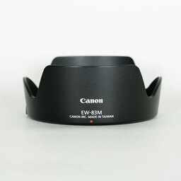 Canon EF24-105mm F4L IS II USM